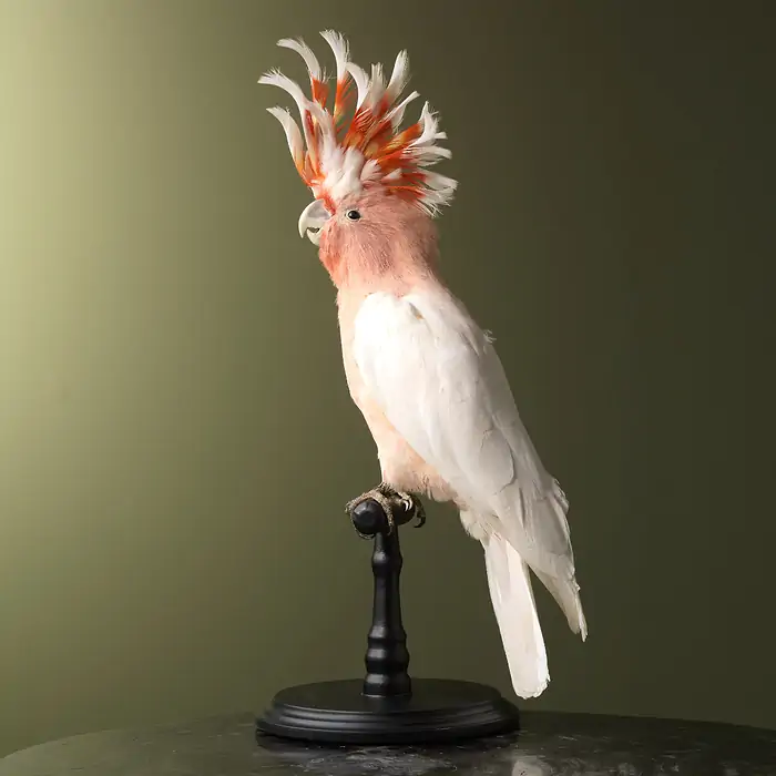 w_700 - 2024-01-13T020037.693