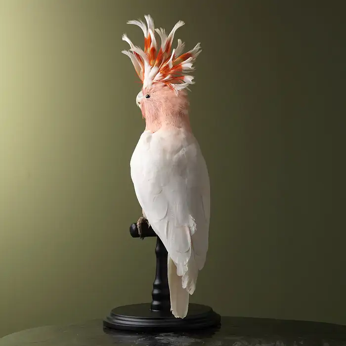 w_700 - 2024-01-13T020046.685