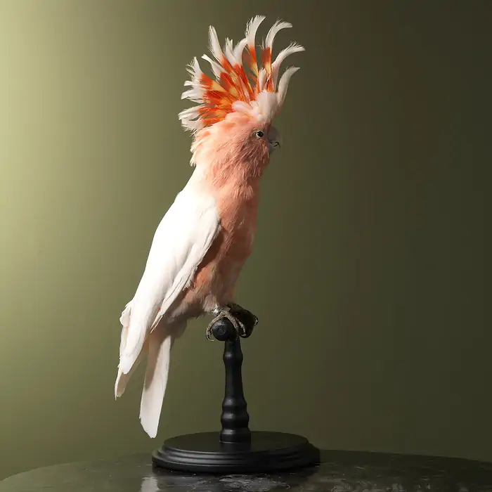 w_700 - 2024-01-13T020050.903