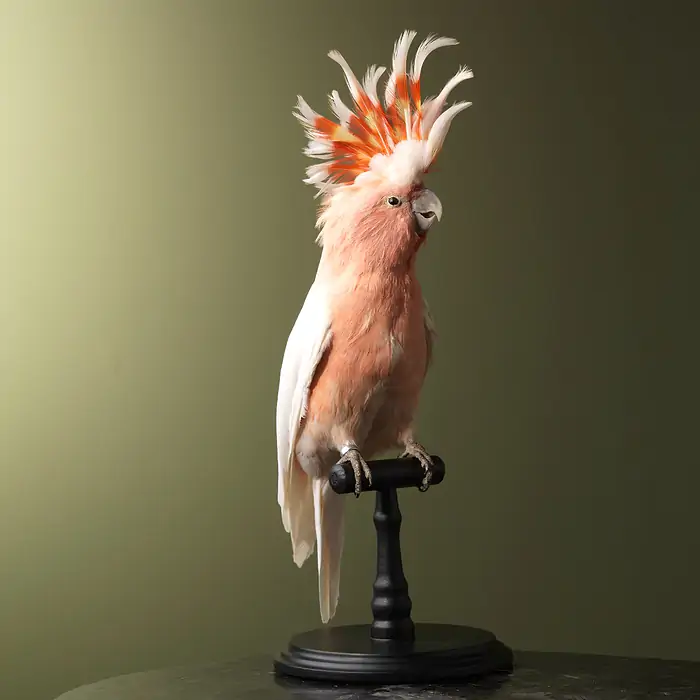 w_700 - 2024-01-13T020054.724