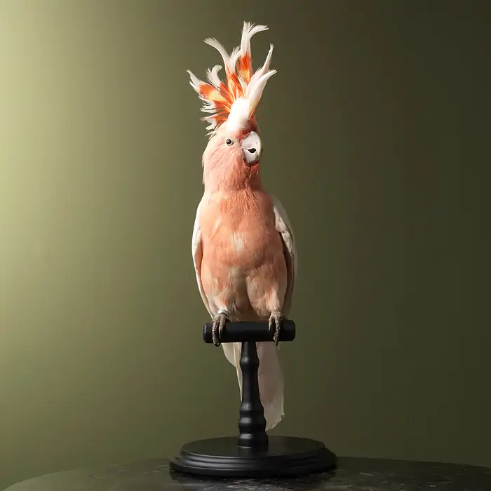 w_700 - 2024-01-13T020058.513