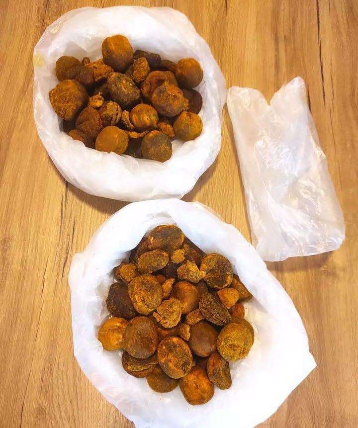 COW/OX GALLSTONE AVAILABLE FOR SALE