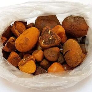 Buy cattle gallstones